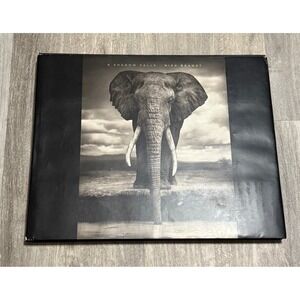 A Shadow Falls Nick‎ Brandt Photography Book Elephant Leopard Rhinos Wildlife